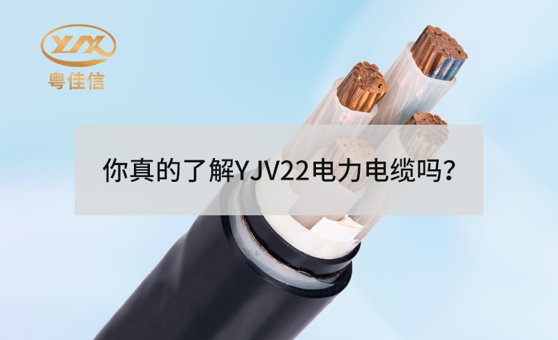 你真的了解YJV22電力電纜嗎？